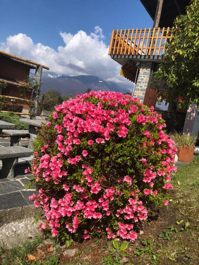 Al Grottino Bed & Breakfast Gambarogno Exterior photo